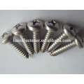 phillps pan head self tapping screw